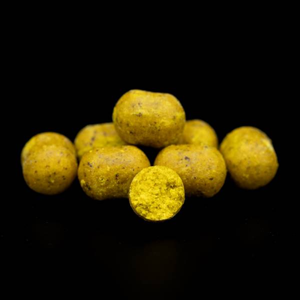 Solid Citrus - Dumbells
